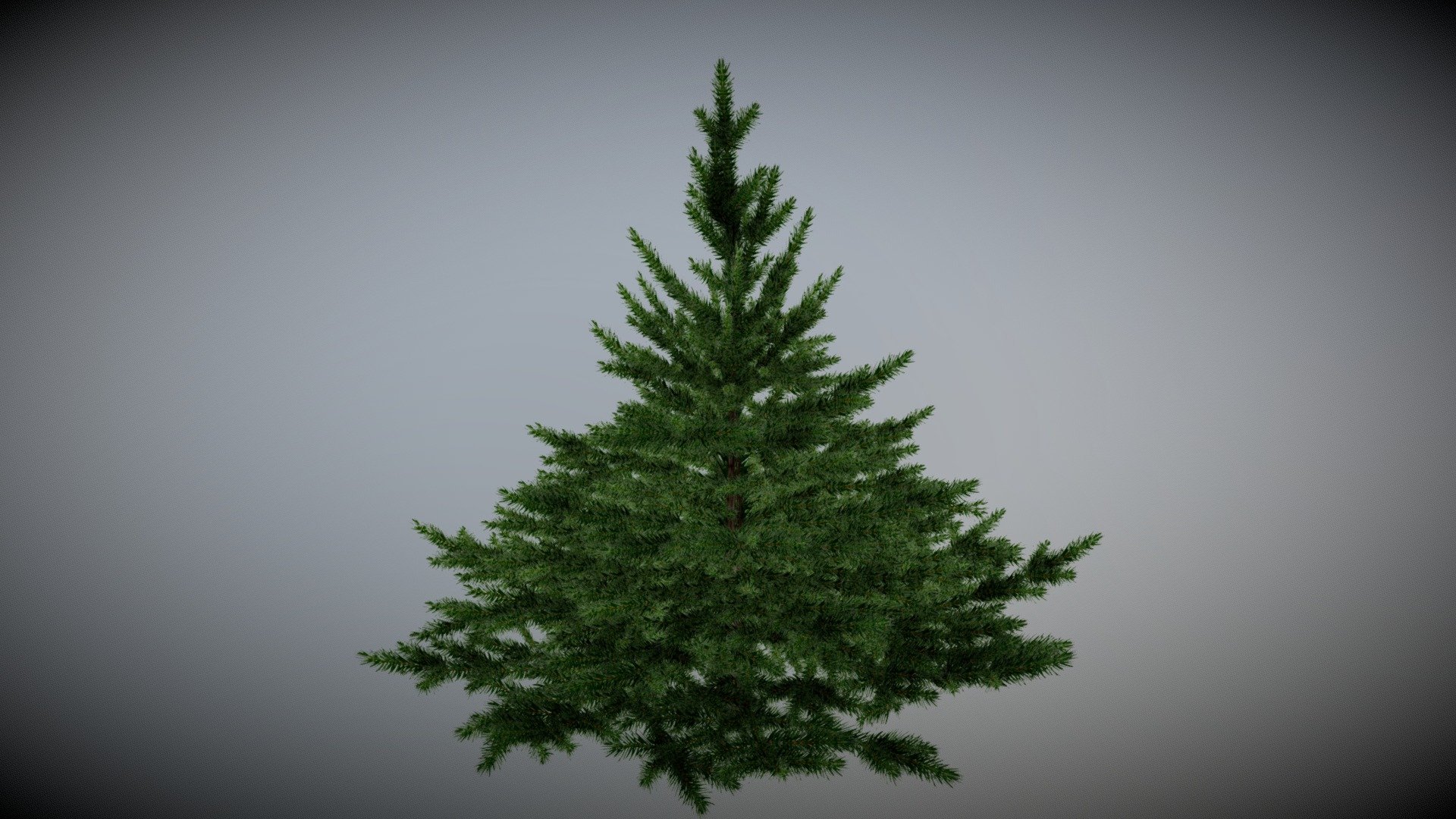 Low Poly Christmas Tree - Realistic
Undecorated version

13.2k triangles, complete model! - Realistic Christmas Tree -undecorated - Buy Royalty Free 3D model by Phil Gornall (@philgornall1967) 3d model