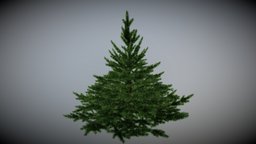 Realistic Christmas Tree -undecorated tree, pine, christmas, fur, festive