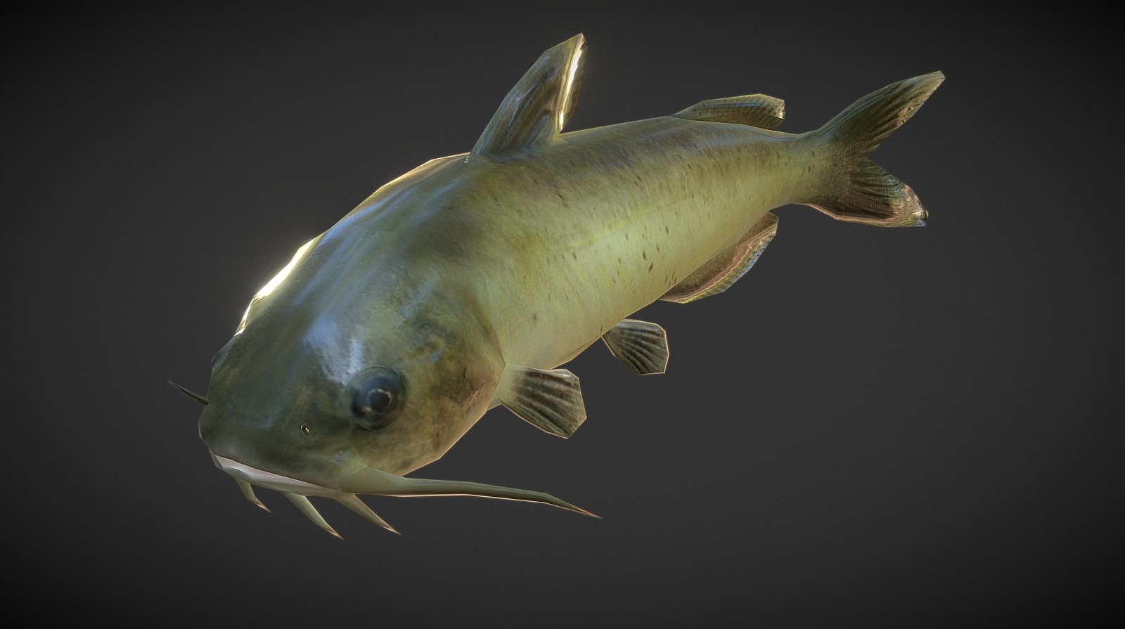Catfish - 3D model by YOURS (@double2) 3d model