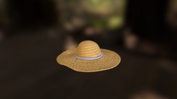 Hidden Town in 3D Straw Hat 