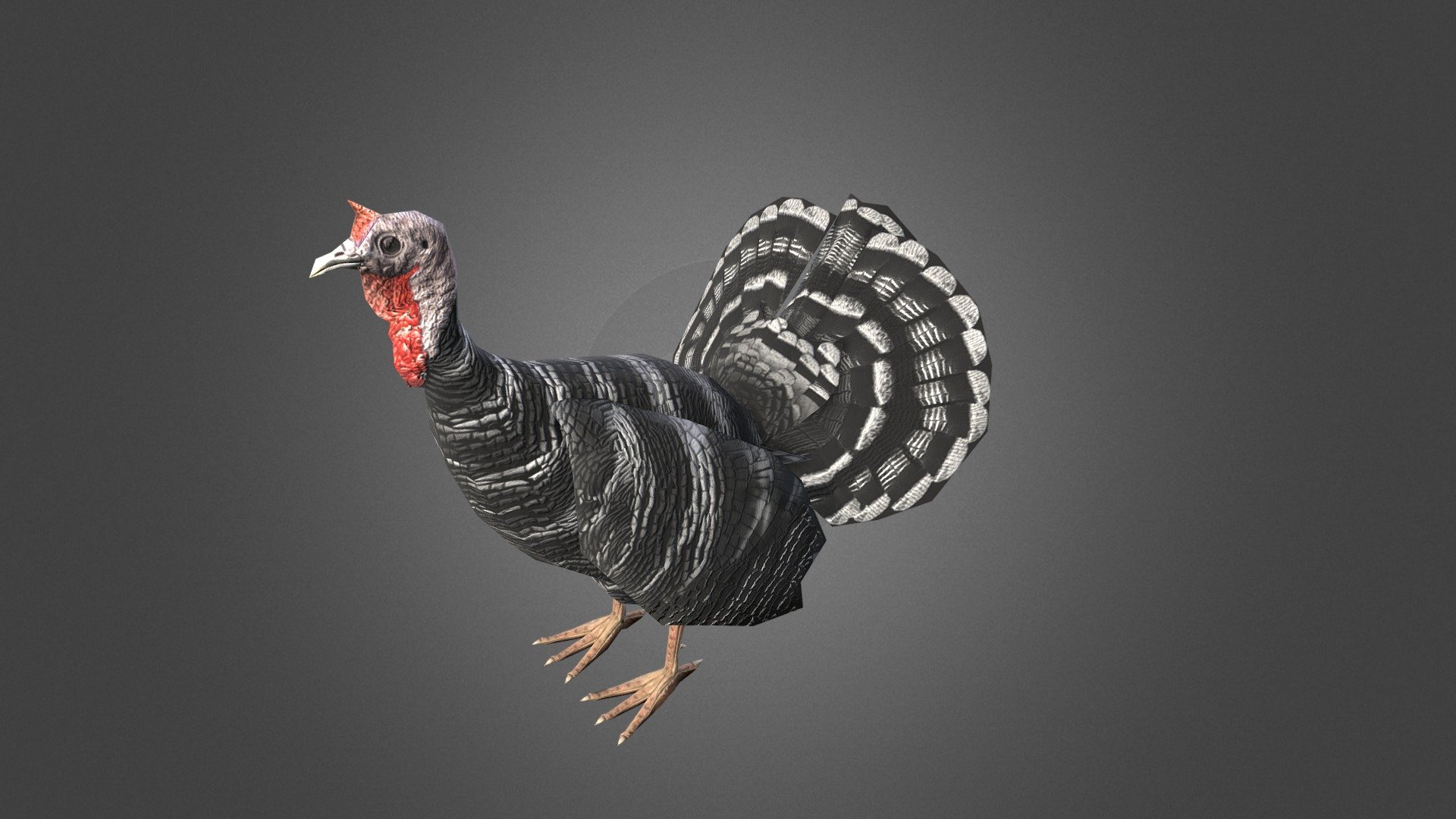 Black and White Striped Turkey - 3D model by Portalarium 3d model