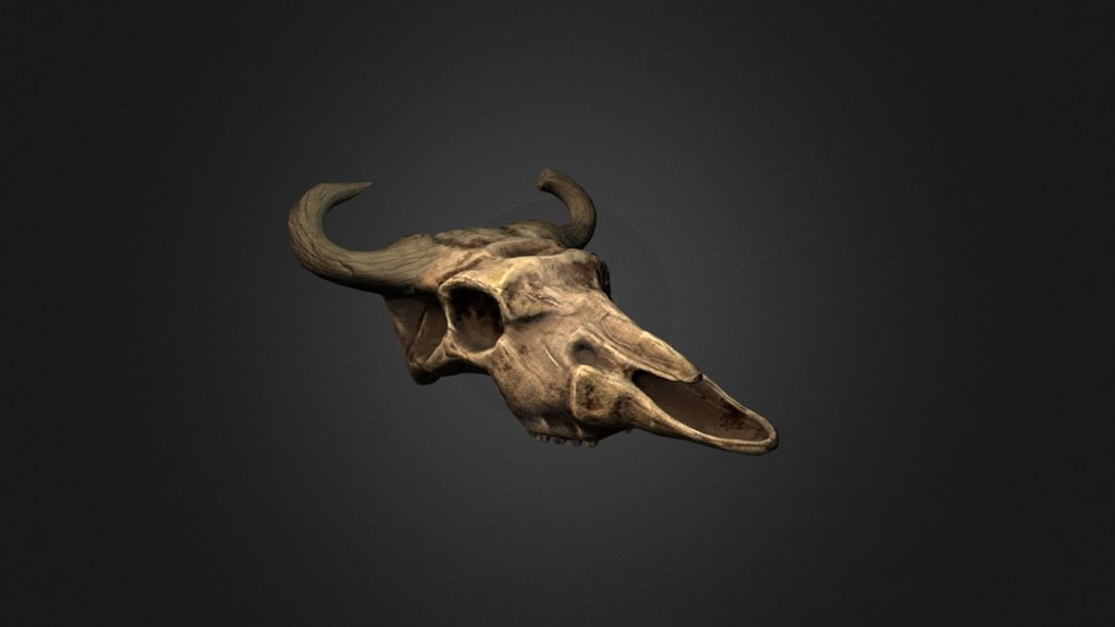 Cow Skull Prop - LP_Cow_Skull_Prop - 3D model by ADhibi 3d model