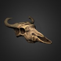 LP_Cow_Skull_Prop sculpt, cow, lp, prop, desert, bone, skull, zbrush