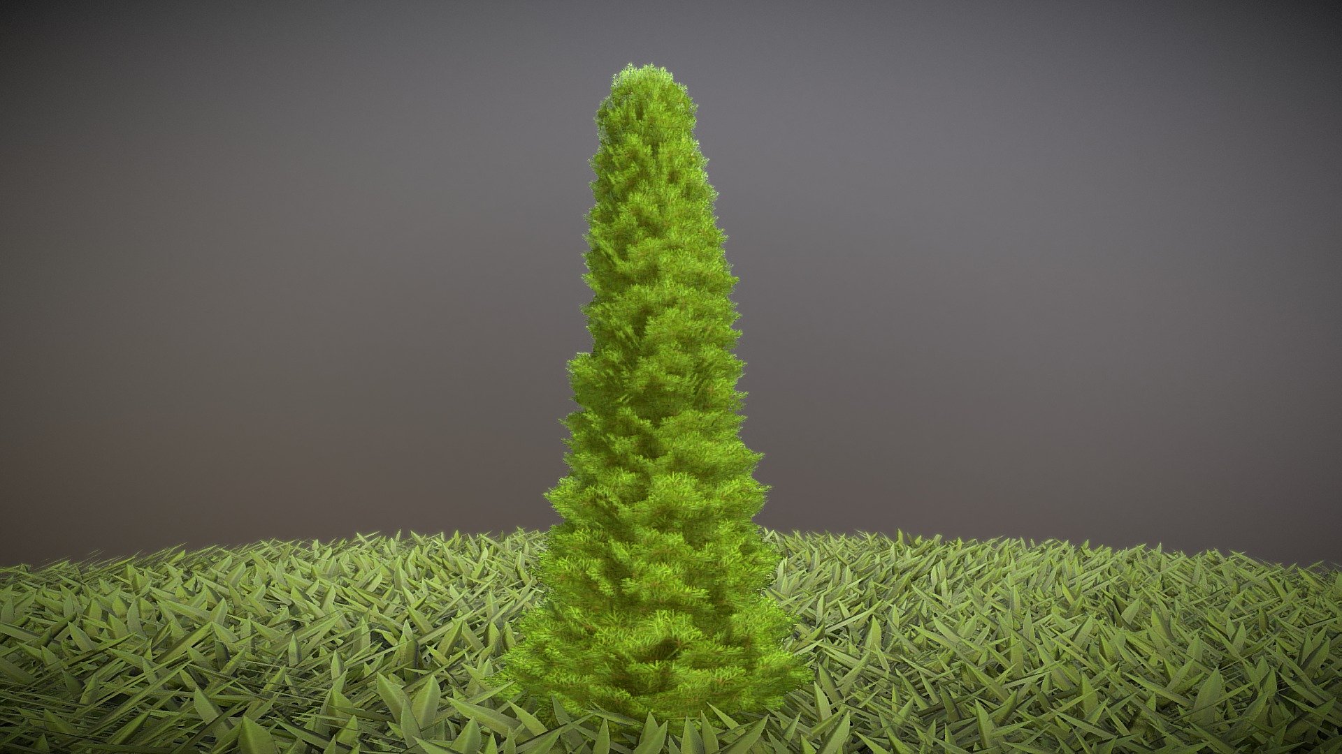 Here is a ½ meter high cypress for your garden scene or house visualization project.







Textures(4k):




Color map

Mask texture for the transparency

Normal map



Here on Sketchfab you can view or purchase some of our 3d-models which we are using in our projects for VIS-All.



The models were created by 3DHaupt for the Software-Service John GmbH.



3D-Model was modelled and textured in blender.






















































































































 - Cypress - Version 1 - ½ Meter - Buy Royalty Free 3D model by VIS-All-3D (@VIS-All) 3d model