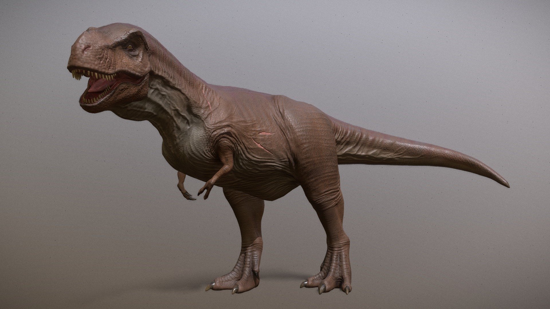 This model was sculpted and retopoligized in Zbrush, textured in Substance 3D painter and animated in Blender.

Two animations cycles :run and walk animation cycles.

Textures : png 2048 x 2048.

Highpoly mesh.

Rigged.

Always wanted to work on more animals like these, this is one of the many to come dino models I will be making. I call this little guy &ldquo;Small Fang