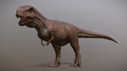 Tyrannosaurus Rex (T-Rex) trex, jurassic, prehestoric, tyrannosaurus-rex, trexdinosaur, jurassicpark, rigged_model, gamereadyasset, texturedmodel, creature, animal, prehistoric, rigged, dinosaur, gameready, gamereadycharacter, noai, rigged-animal