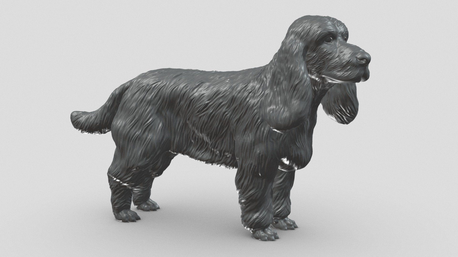 Preview shows decimated version. Extra files included .STL format.

STL file checked by Netfabb

Model height 100 mm, but you can change the size you like

It is suitable for decorating your room or desk, and of course you can give it to your loved ones

I hope you like it and thanks for the support! - English Cocker Spaniel V1 3D print model - Buy Royalty Free 3D model by Peternak 3D (@peternak3d) 3d model