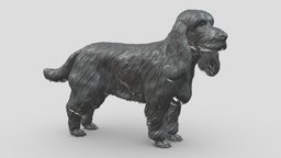 English Cocker Spaniel V1 3D print model stl, dog, pet, animals, figurine, 3dprinting, doge, 3dprint, dogstl, stldog