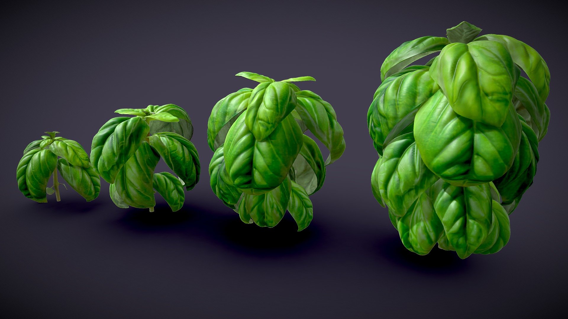 Fantastic Basil_Herb.

Zbrush &amp; 3d Max Modeling.

total 154,405 Verts.

painting and sculpting on the photo 3d model