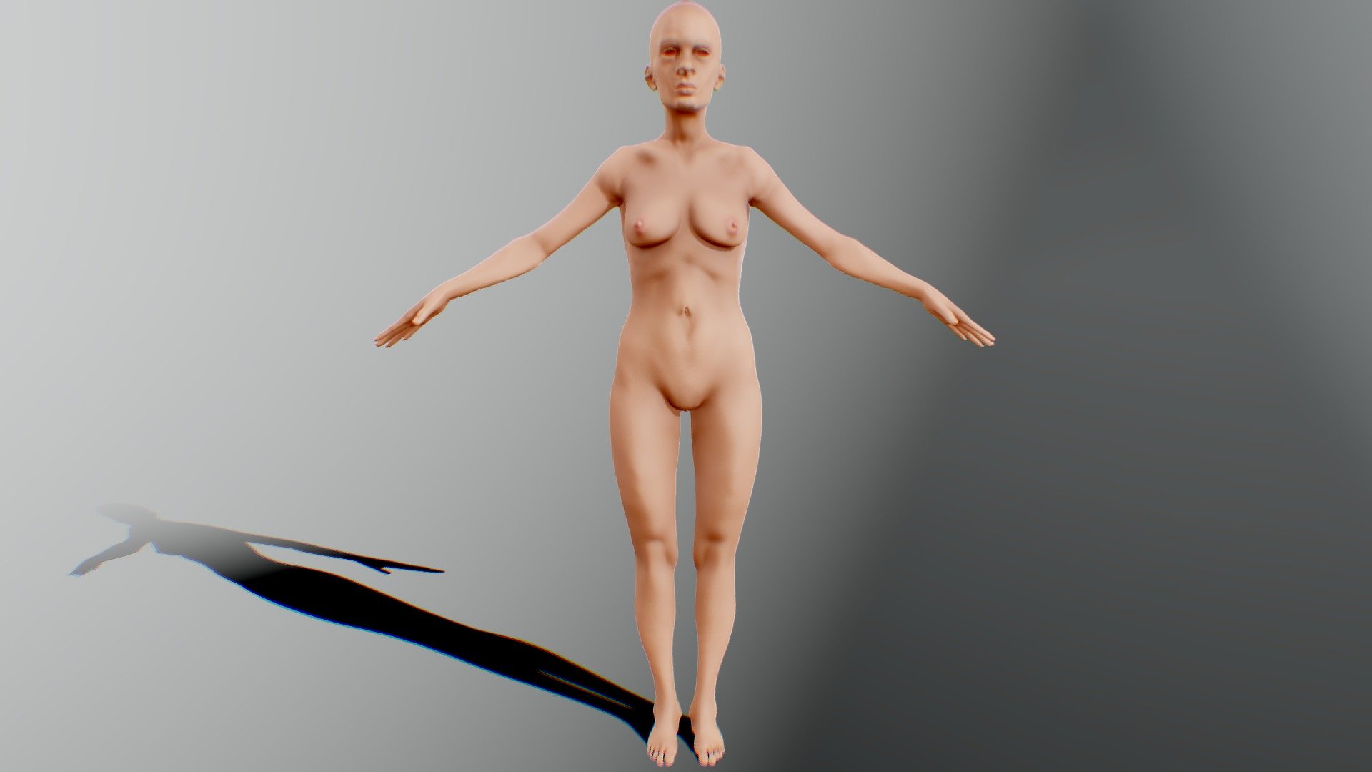FEMALE anatomy practice - Download Free 3D model by dregter 3d model
