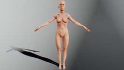 FEMALE anatomy practice mesh, female