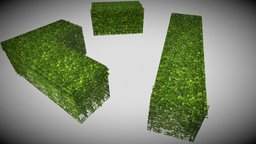 Green hedge fence, fences, prb, hedge, environment-assets, lowpolymodel, 3dprops, asset, blender, lowpoly, blender3d, gameready, environment, hedgerow, greenhedge, lowpolyhedge, greenfence, noai