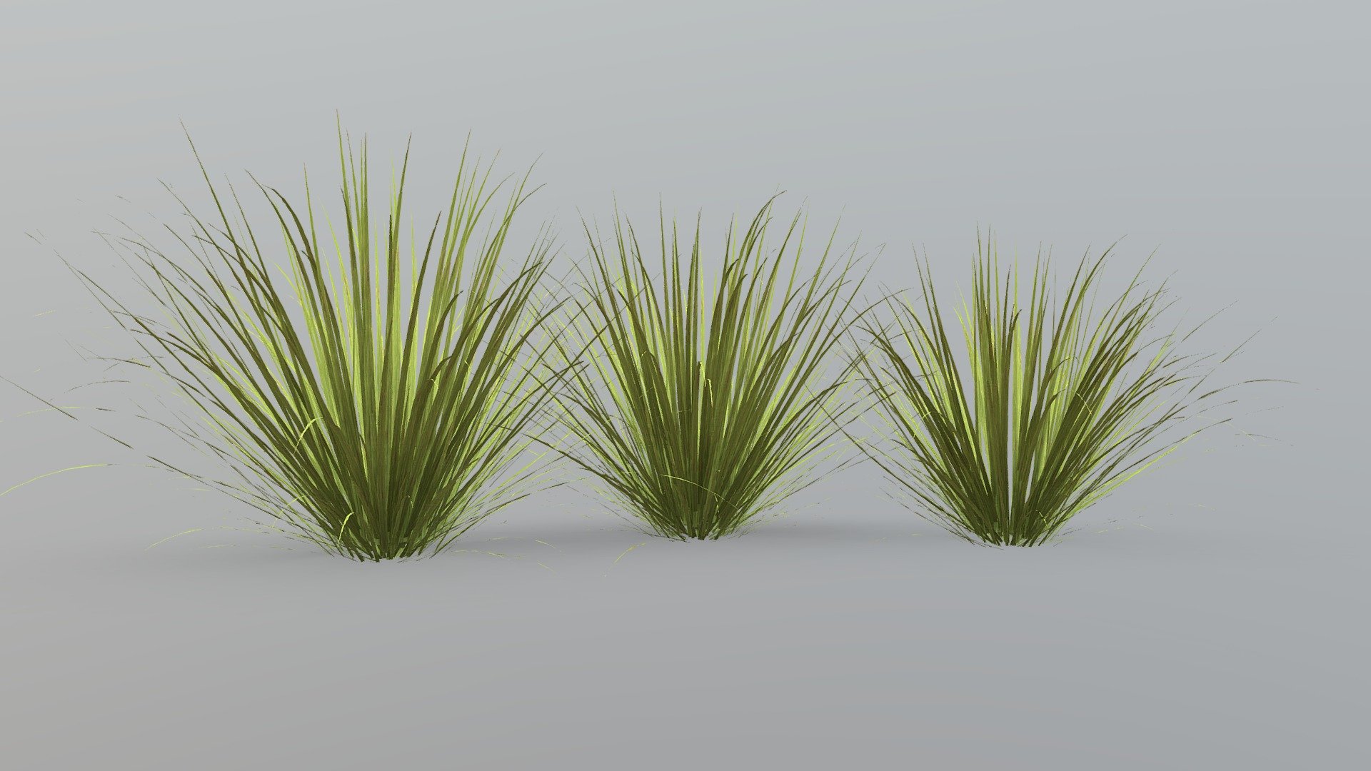 Included files: fbx, Textures are  included

Item description: Long Grass x3

commonly used for exterior planting

This Long Grass model was created using Speedtree 9 - Long Grass - Buy Royalty Free 3D model by zlevi 3d model