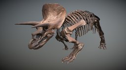 Triceratops Scan houdini