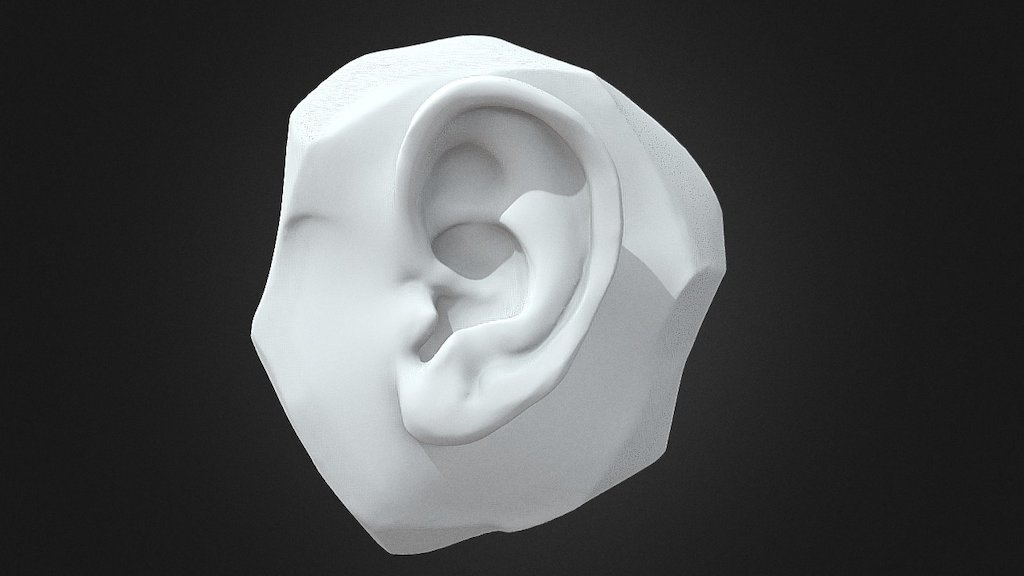 Ear Sculpt - 3D model by Guilherme Freitas (@brushrush) 3d model
