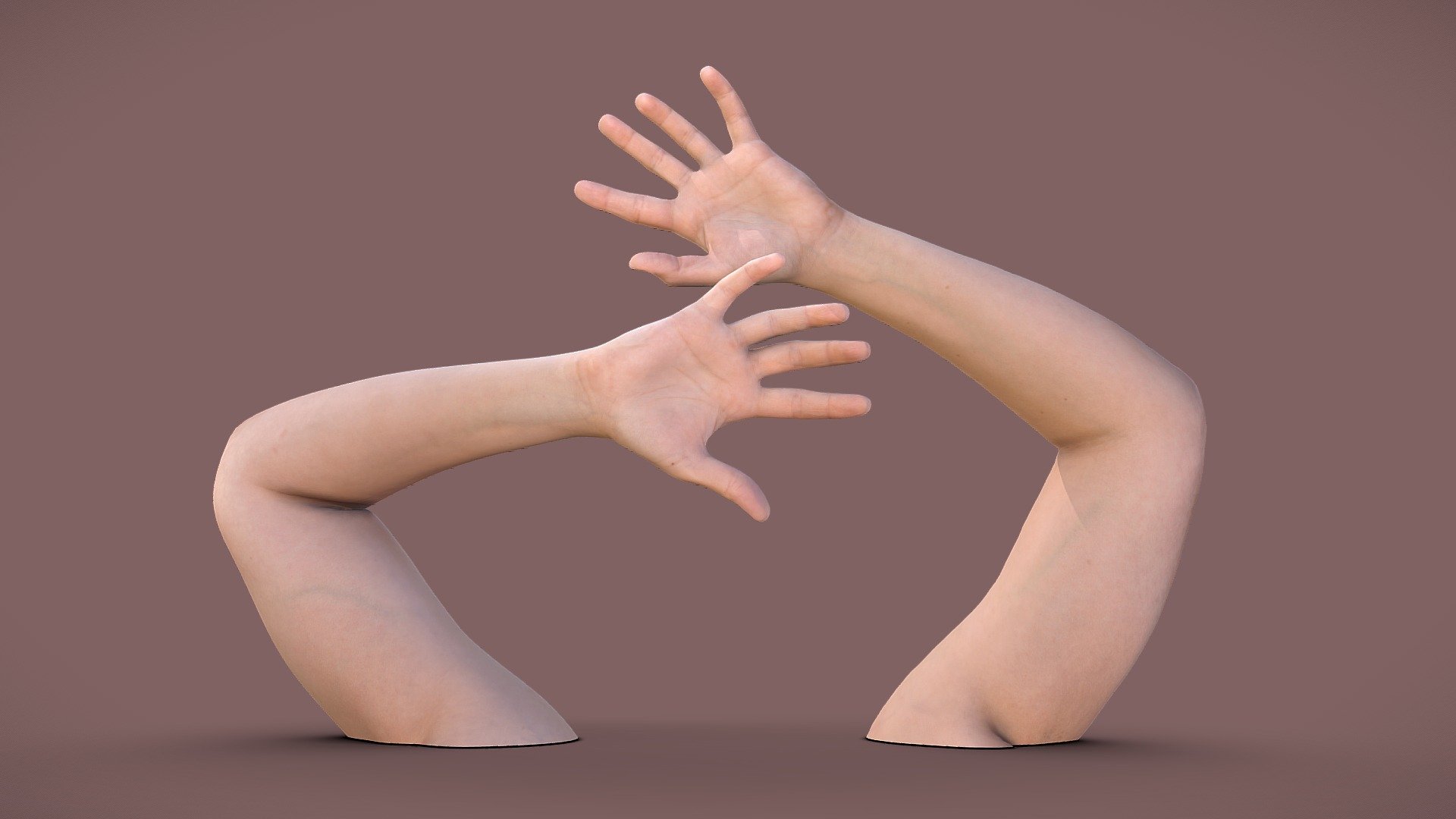 Two individually scanned 41 years old female arms.

Model includes 8k diffuse map, 4k normal map, 4k ambient occlusion map, 4k subsurface map for each arm 3d model