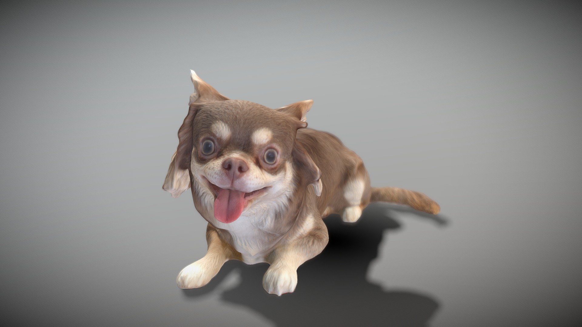 This is a true sized and highly detailed model of a young charming Chihuahua dog. It will add life and coziness to any architectural visualisation of houses, playgrounds, parques, urban landscapes, etc. This model is suitable for game engine integration, VR/AR content, etc.

Technical specifications:




digital double 3d scan model

150k &amp; 30k triangles | double triangulated

high-poly model (.ztl tool with 5 subdivisions) clean and retopologized automatically via ZRemesher

sufficiently clean

PBR textures 8K resolution: Diffuse, Normal, Specular maps

non-overlapping UV map

no extra plugins are required for this model

Download package includes a Cinema 4D project file with Redshift shader, OBJ, FBX, STL files, which are applicable for 3ds Max, Maya, Unreal Engine, Unity, Blender, etc. All the textures you will find in the “Tex” folder, included into the main archive.

3D EVERYTHING

Stand with Ukraine! - Chihuahua dog lying down 36 - Buy Royalty Free 3D model by deep3dstudio 3d model