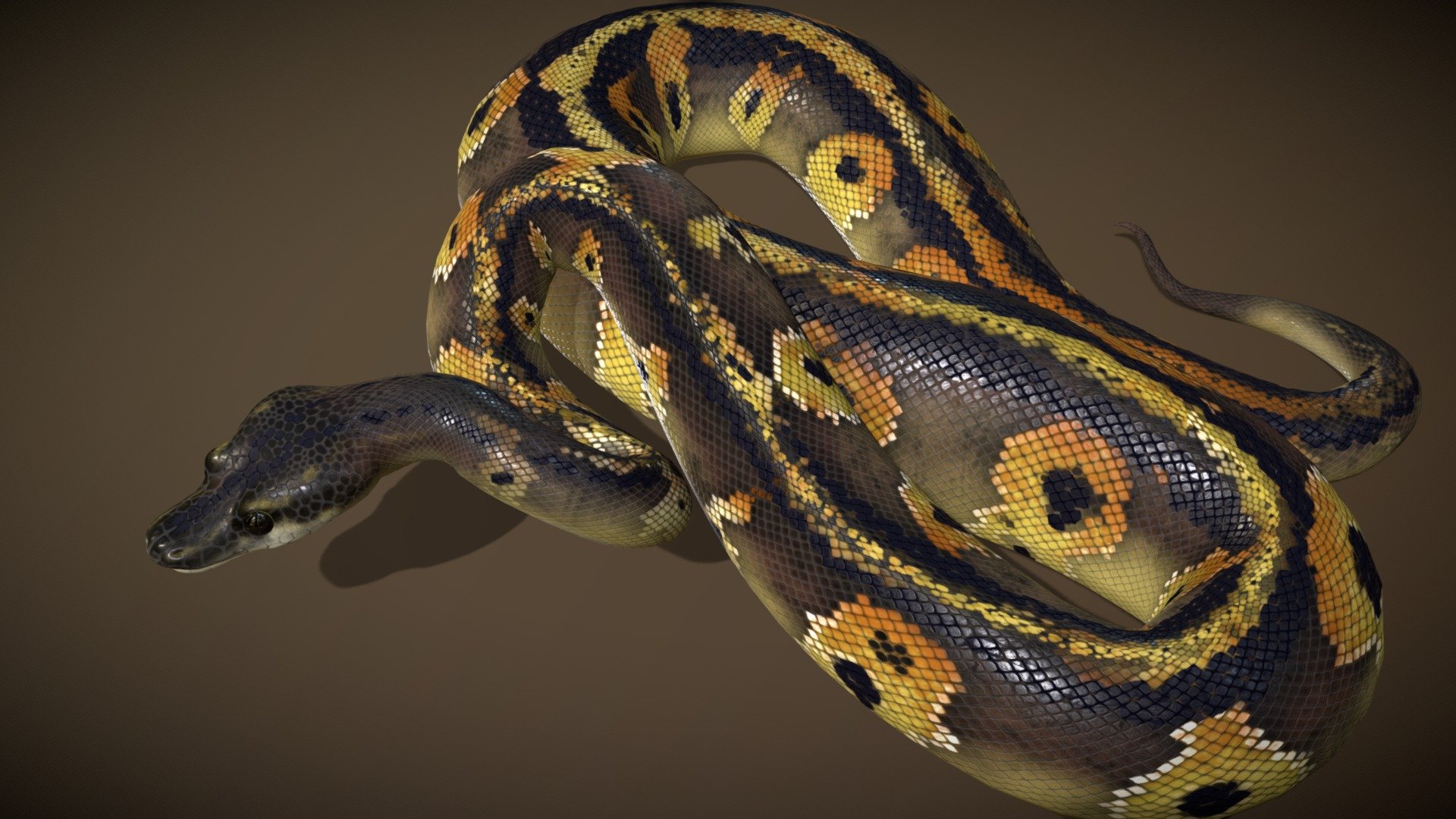 Before purchasing this model, you can download Guppy and try to import it.
Because for different software, rigging and animation may have different problems.

Additional files:
Green Tree Python textures and poses - Blackhead Ball Python - Buy Royalty Free 3D model by NestaEric 3d model