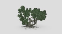 Chinese Banyan Tree-S5 tree, plant, grass, unreal, architectural, china, chinese, banyan, unity, architecture, banian
