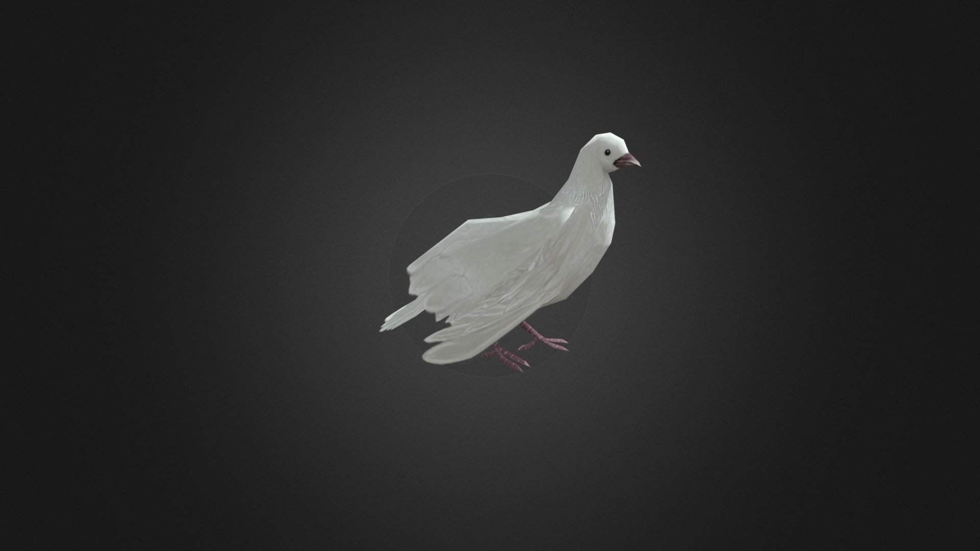 Lowpoly Bird Pigeon - Pigeon - Download Free 3D model by FourthGreen 3d model