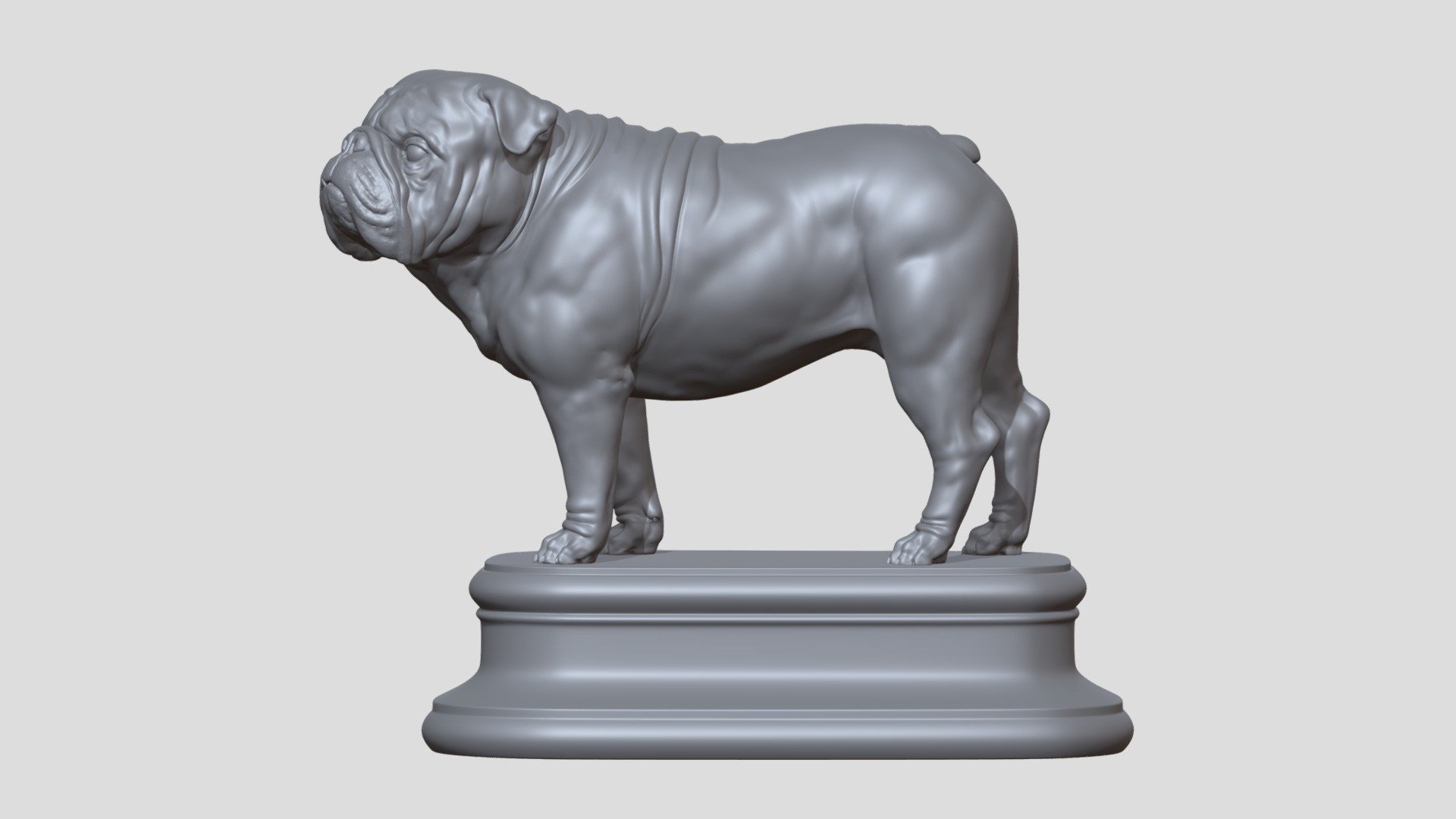 English Bulldog High Poly, sculpted in ZBrush.

2 Parts

Ideal for printing 3D

Compositions

Decoration

Motion graphics - Destruction of solids

Etc....

Does not contain UVs Maps

Piece with 15 cm

You need to unzip the files.

Files :

FBX

Does not contain lighting

I hope it will be useful in your project !

Thank you for visiting my models !! - English  Bulldog - Buy Royalty Free 3D model by aleexstudios 3d model