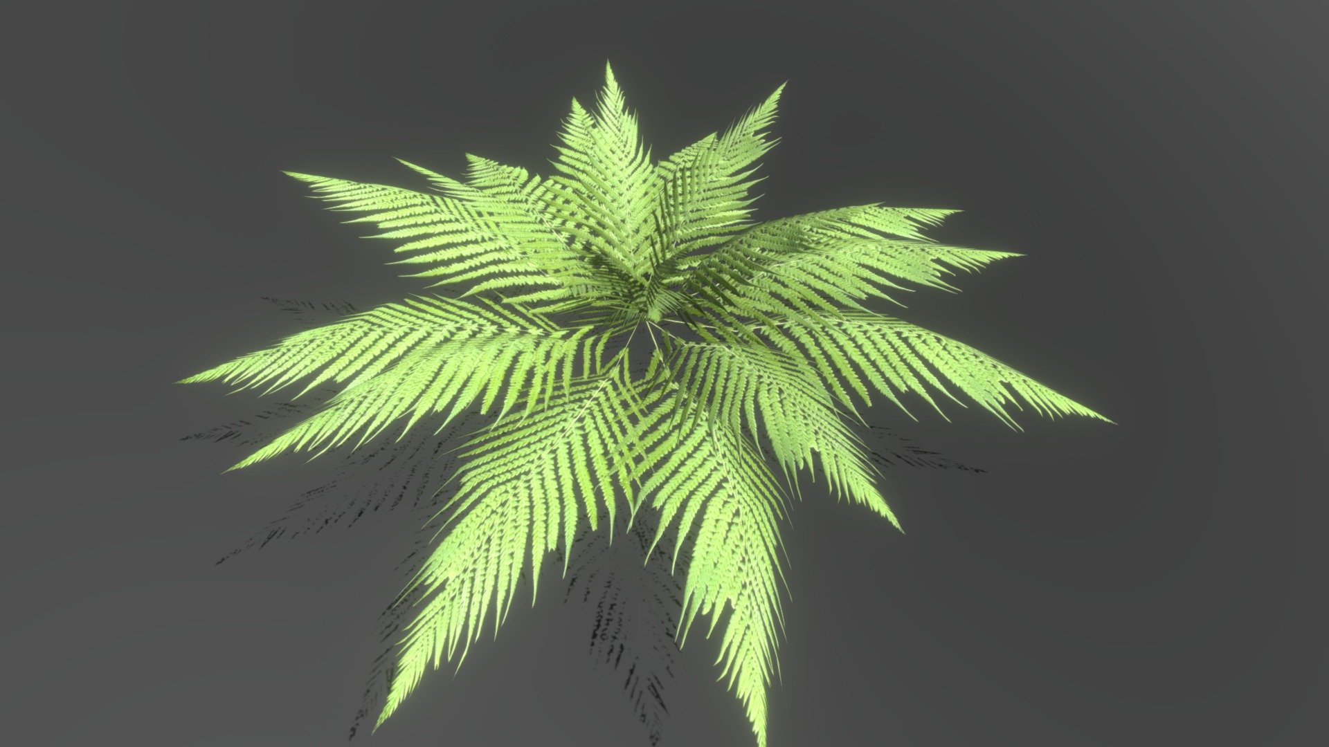 Low-poly Tropical plant. Created with 3Ds max2018. Export in FBX. Model have diffuse, opacity, normal texture maps - Fern - 3D model by Ybreibyf 3d model