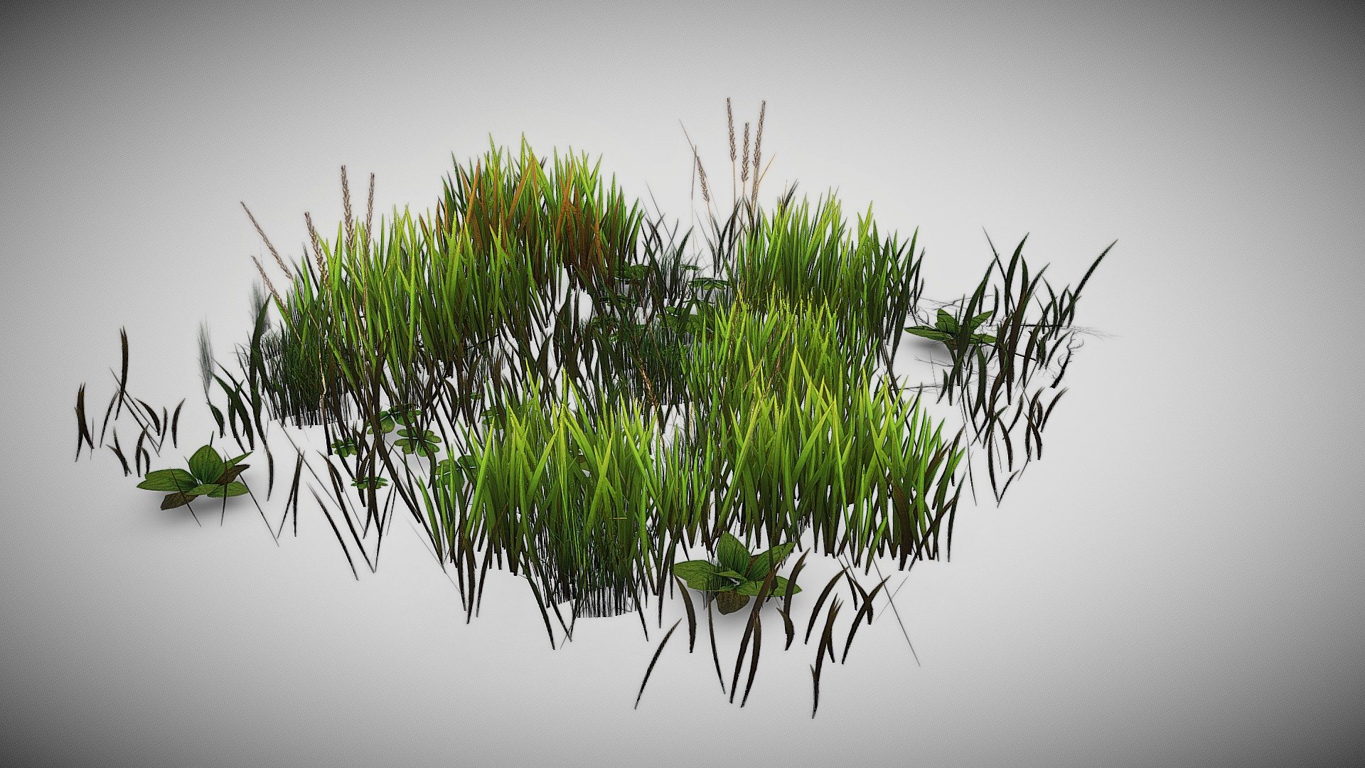 grass_patch - 3D model by Rakesh.sahoo (@sahoo.rakesh) 3d model