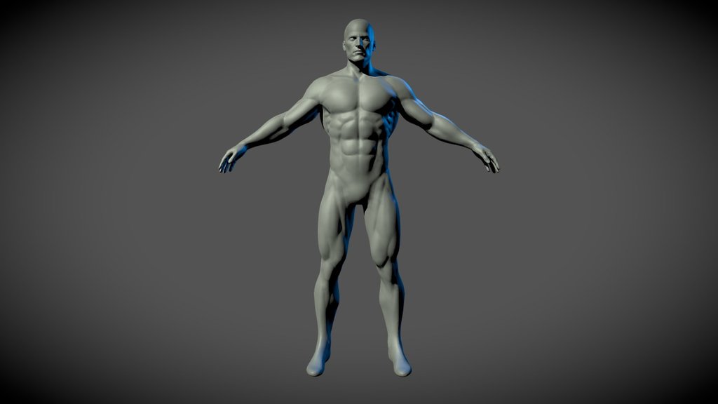 Basmesh of a male with Superhero proportions. Serves as a good starting point for creation of heroic body type man. Simply modify anatomy to your liking and add the desired accessories. ZBrush file with multiple subdivisions is available for purchase HERE - Superhero Basemesh - 3D model by alexlashko 3d model