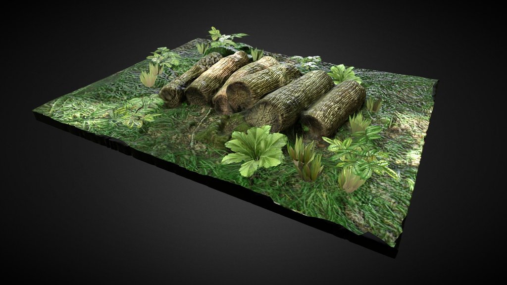 Published by 3ds Max - Forest Cut - Download Free 3D model by Francesco Coldesina (@topfrank2013) 3d model
