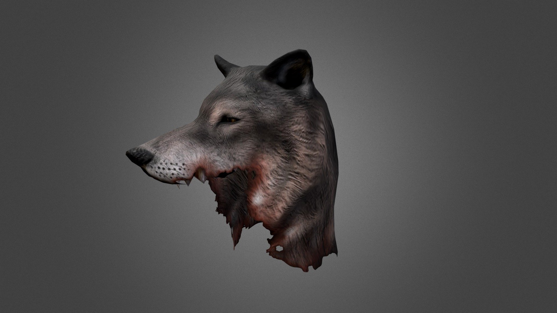 Wolf Hat - 3D model by Portalarium 3d model