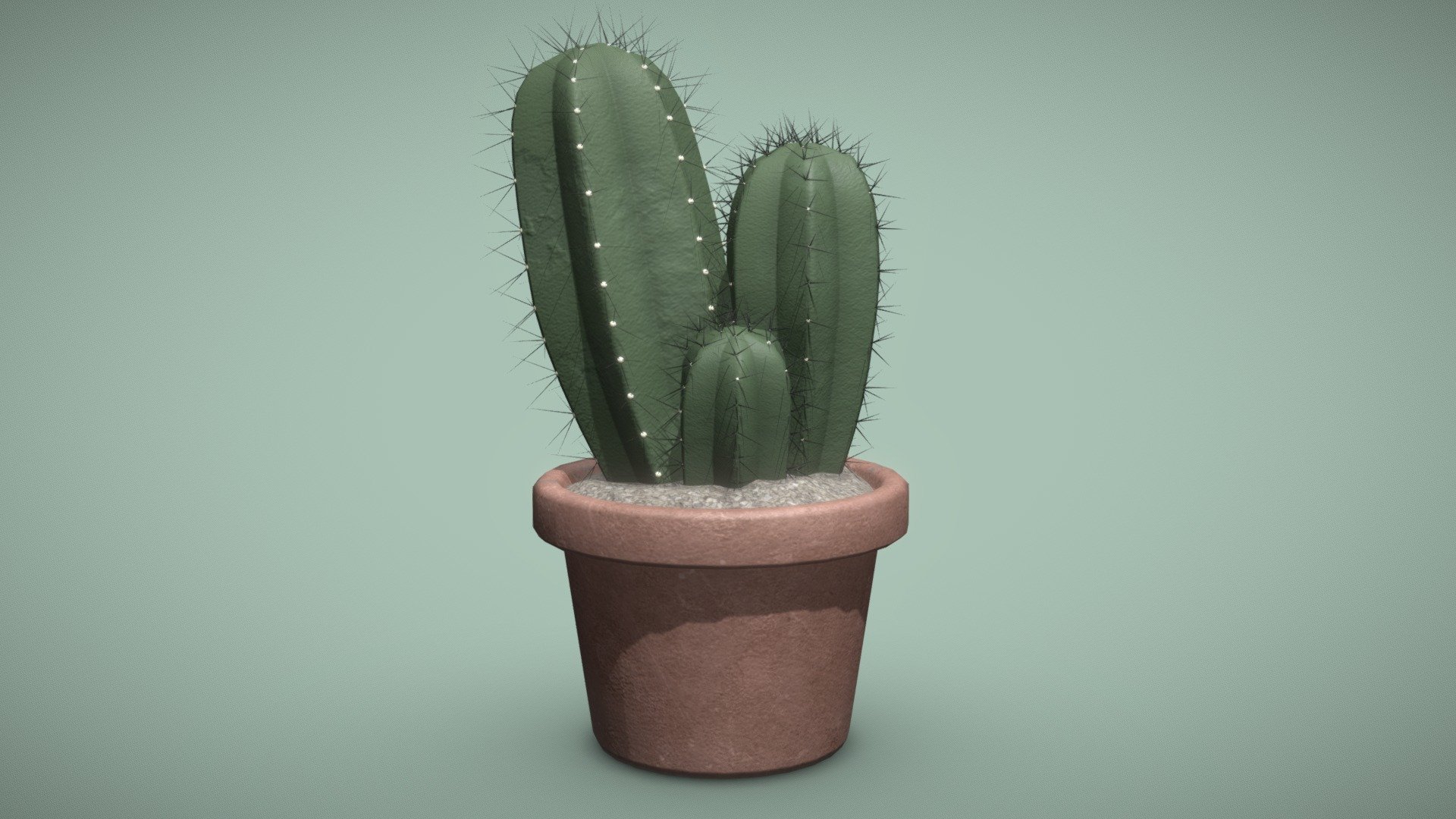 A realistic 3D model of a Myrtillocactus geometrizans, or Blue Candle Cactus. Made with Autodesk Maya and Substance Painter 3d model