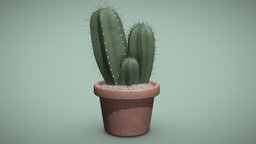 Blue Candle Cactus (Myrtillocactus geometrizans) plants, flora, cactus, desert, potted, foliage, succulent, desert-plant