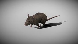 RAT ANIMATED rat, cute, mouse, cage, pet, animals, underground, photorealistic, mammal, fur, fbx, realistic, hamster, animal, rigged, mouse-character, digedrat, ratrigs