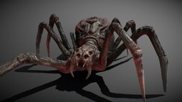 Giant Spider Animated insect, beast, gross, spider, 8, arachnid, enemy, legged, monster, animated, evil, legged-creature