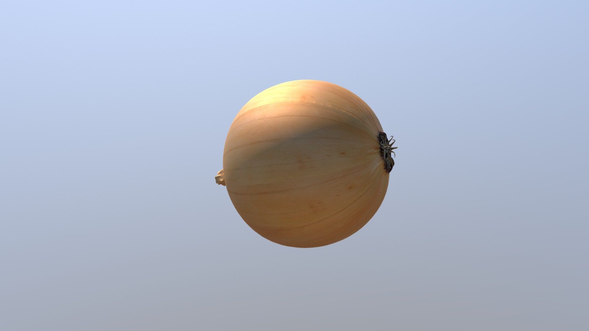 Onion - 3D model by Virtual Reality (@simulanis) 3d model