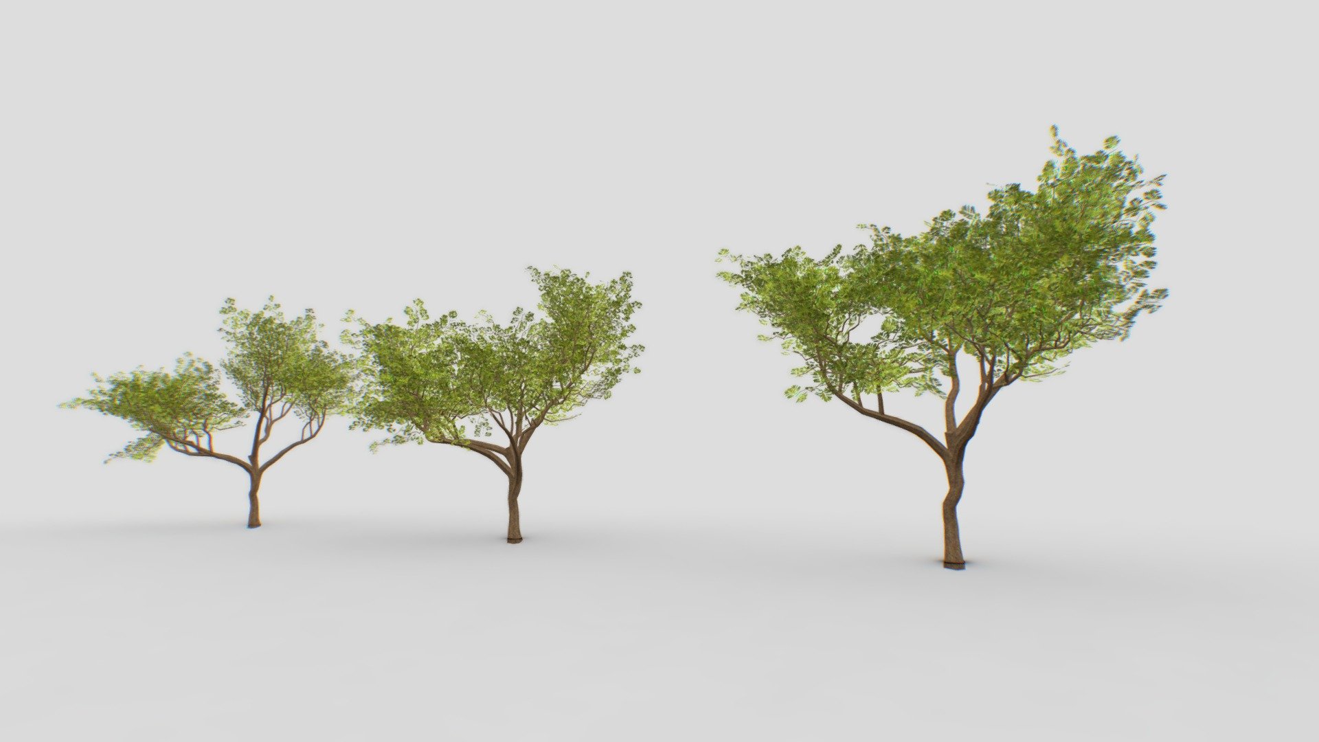 Acacia tree
About 2.0 - 2.5 mb 1 tree - Acacia tree - Buy Royalty Free 3D model by VRA (@architect47) 3d model