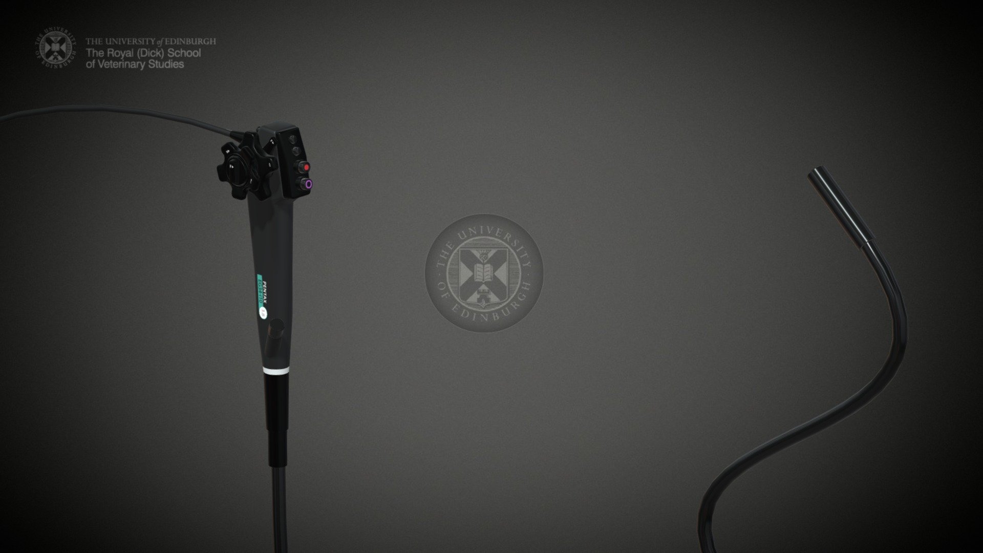Endoscope - 3D model by Brian Mather (@brian.mather) 3d model