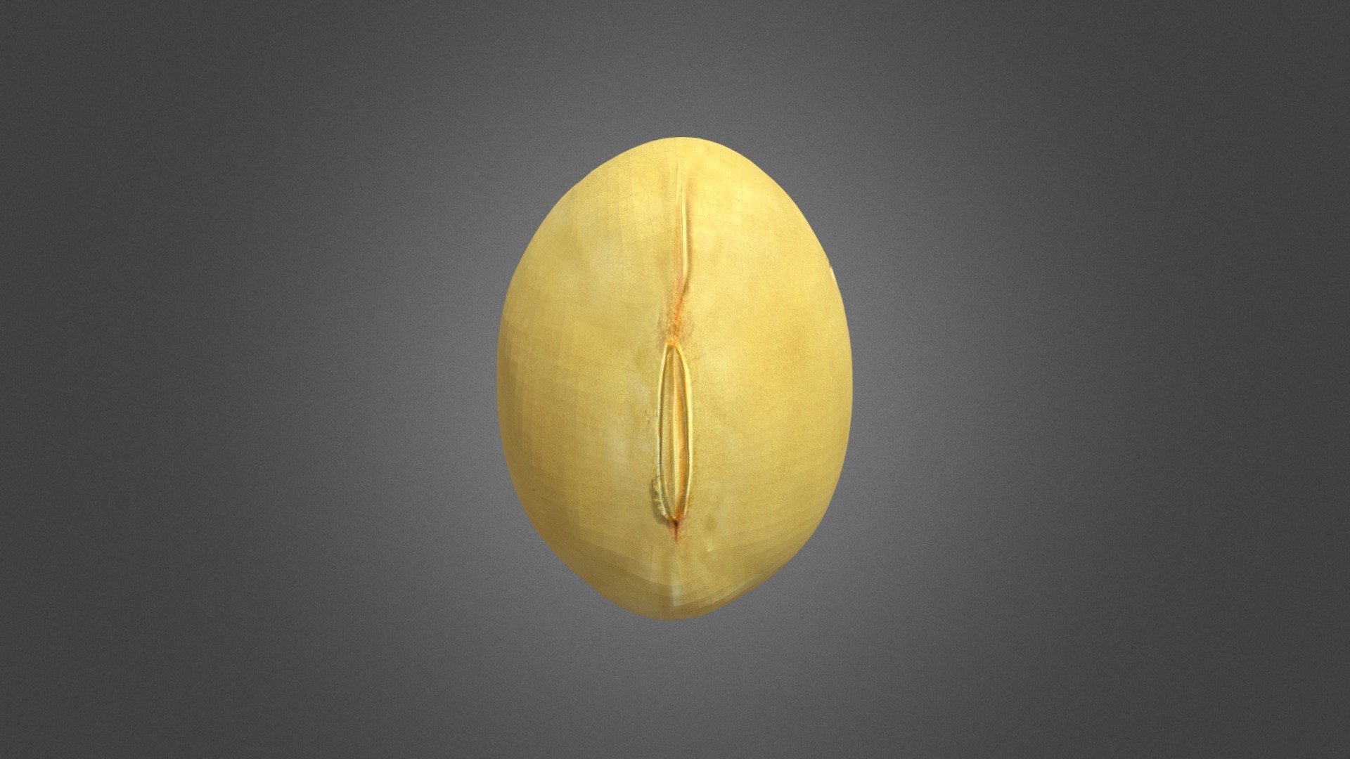 Soybean Yellow Bean - Soybean Yellow Bean - Buy Royalty Free 3D model by misitewang 3d model