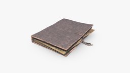 Old Field Journal leather, antique, old, journal, parchment, book