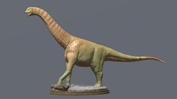 Camarasaurus supremus