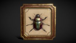 Framed Beetle / Bug Decoration
