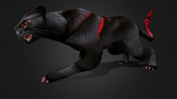 Black Panther_A2 animals, panther, blackpanther, character, animation, animated, rigged