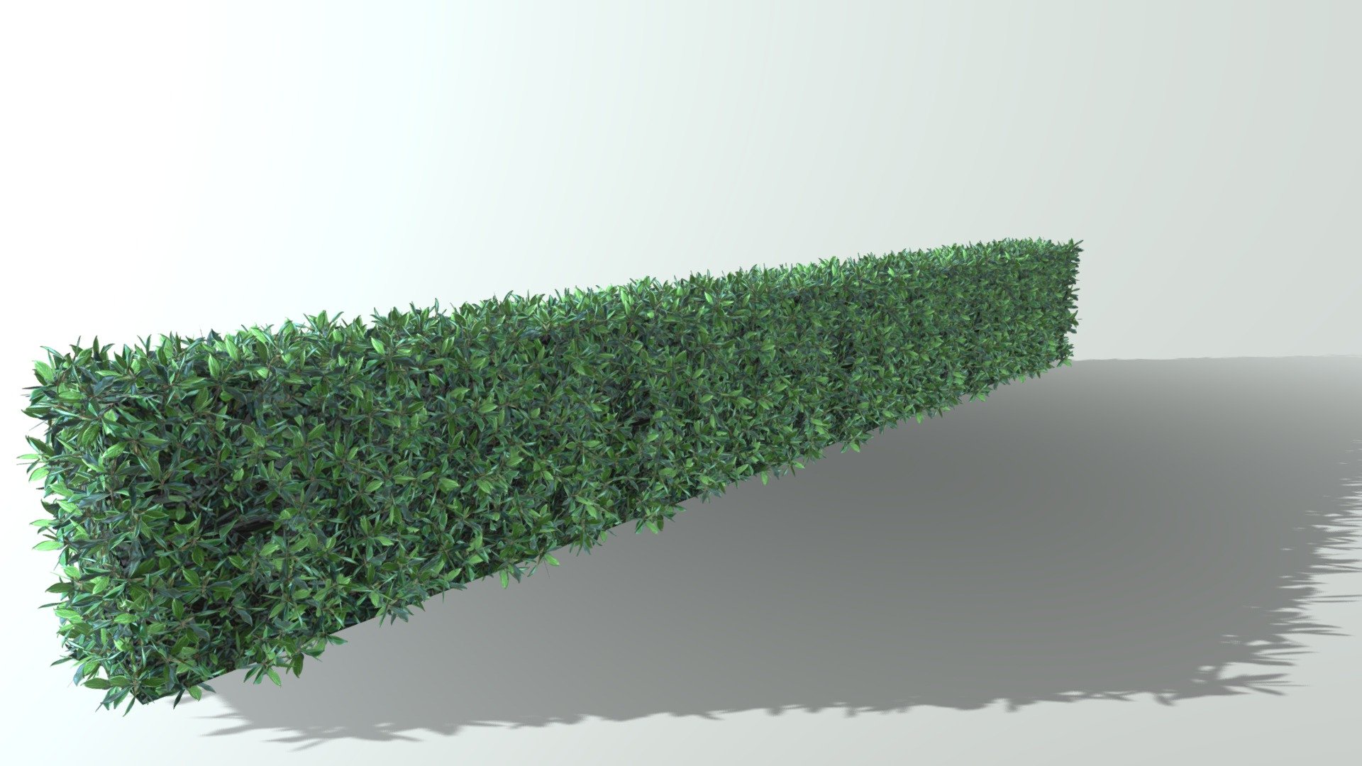 Hedge transparent leaf test - 3D model by Martin Mikulić (@martin_mikulic) 3d model