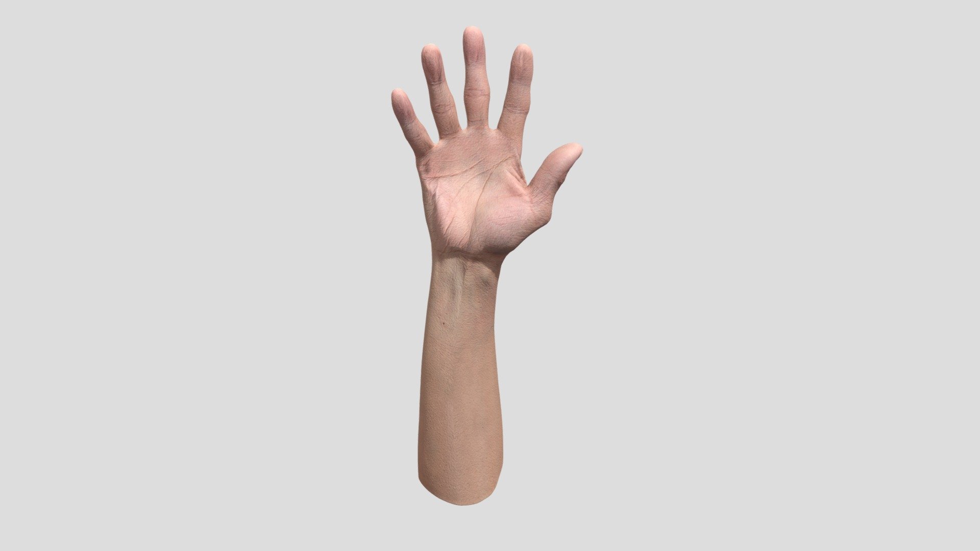 We would like to introduce you to one of the many retopologized hands that offers precise retopology.This hand is perfect for anyone looking for a realistic and aesthetically crafted model for their projects. Find out how this collection can enrich your creative work and give it the visual punch it needs!

Ethnicity: Asian Gender: male Age: 67 Height: 167 cm Weight: 62 kg

NOTE: Retopologized scan with postproduction.

Technical Specifications:

1 x OBJ. File / 16 600 polys 2 x 8K PNG Texture - Diffuse, Normal

3Dsk provides all you need from virtual casting studio. Model casting, neutral &amp; morph expression scans, full body scans, accessories and cloth scans, 3D postproduction, photoshooting of full body, portrait, hair, eyes and skin &amp; other on demand services 3d model