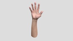 Retopologized 3D Hand Scan Ike Hidetsugu