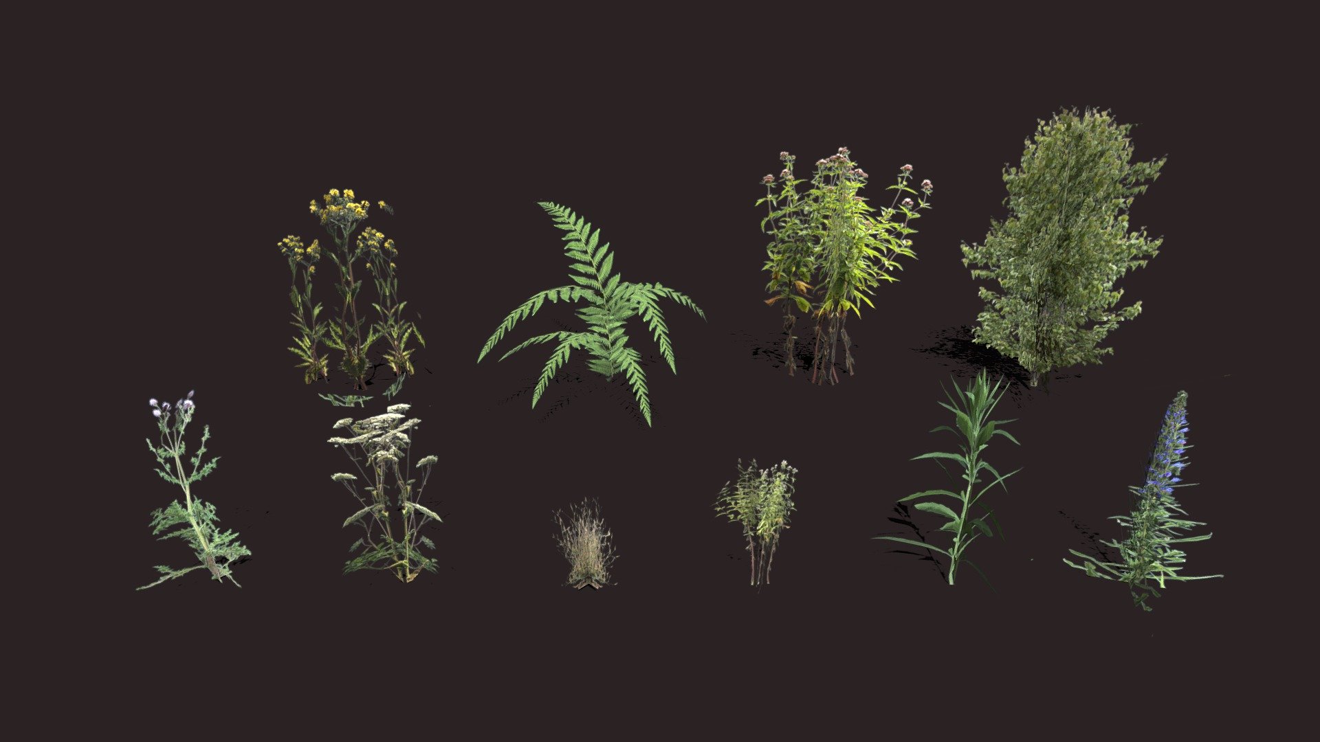 Lowpoly Plants Pack 3D model

Made in blender3D v2.81

Texture :4741*3105 Diffuse, Normal and Height maps.

Polycount: 539 Verts | 262 Polygon/faces |538 Tris 3d model
