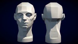 Original Scan Asaros Planes Of The Head stl, drawing, study, painting, reference, estudio, dibujo, learning-exercise, planesoftheface, painter, structure, asaro-head, learning-modeling, johnasaro, analisys
