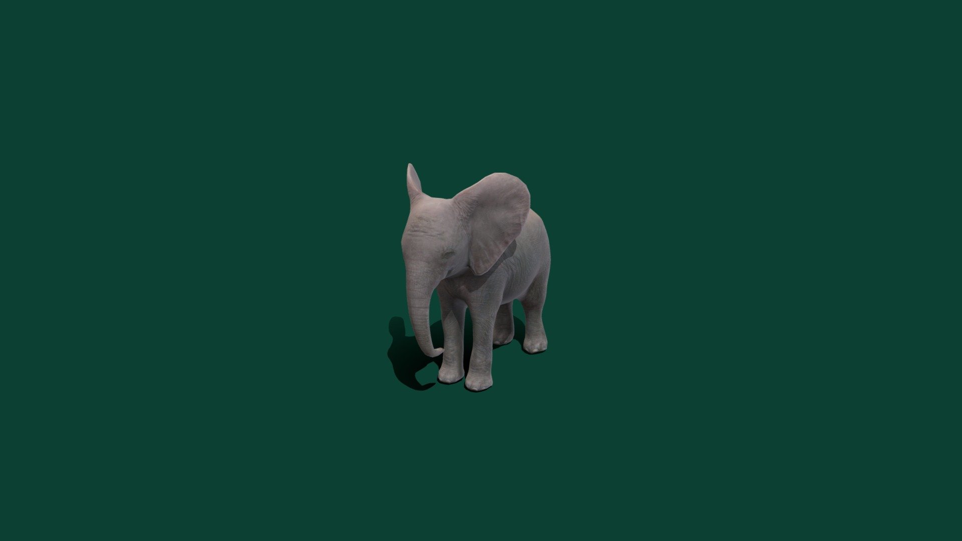 African elephant Cub  ** Loxodonta**
Low_poly
Animated Attack 
Rigged
African elephants are a genus comprising two living elephant species, the African bush elephant and the smaller African forest elephant.
2K Textures
africa_baby_elephant_diffuseOriginal.png
africa_baby_elephant_ao.png
africa_baby_elephant_height.png
africa_baby_elephant_metallic.png
africa_baby_elephant_normal.png
 - African Elephant Baby - 3D model by Nyilonelycompany 3d model
