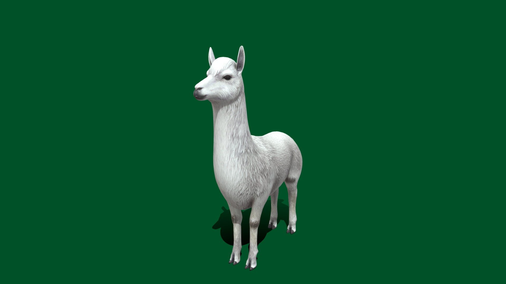 Game Readyhttps://skfb.ly/ourKT
The alpaca is a species of South American camelid mammal. It is similar to, and often confused with, the llama. However, alpacas are often noticeably smaller than llamas. The two animals are closely related and can successfully crossbreed. 
for complete animation game ready pls contact me thank you - Alpaca (Non-Commercial) - Download Free 3D model by Nyilonelycompany 3d model
