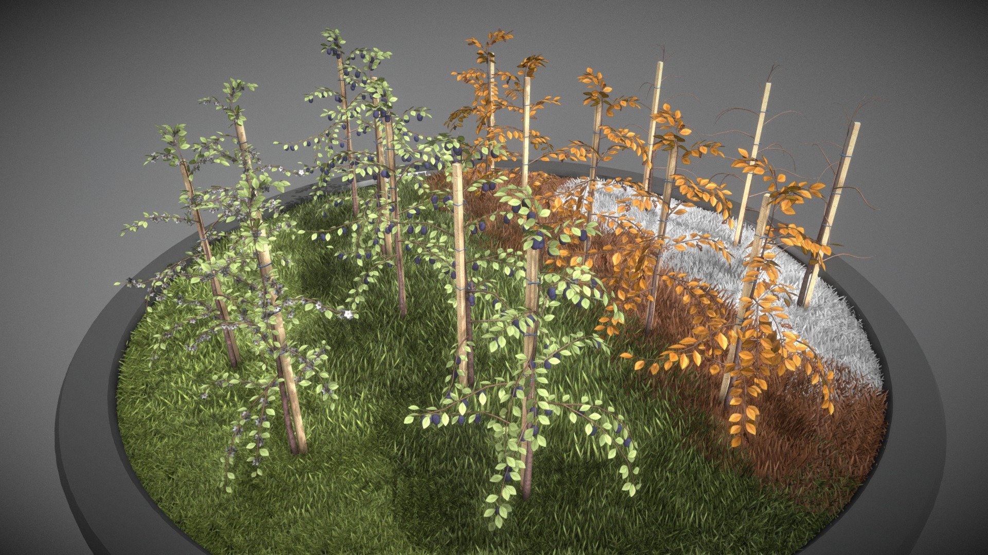 Plum trees all seasons.

 - Plum Trees All Seasons - 3D model by VIS-All-3D (@VIS-All) 3d model